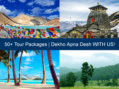 alps tours and travels kolkata